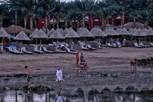 Crash aérien : l'Egypte pourrait perdre 260 millions d'euros par mois