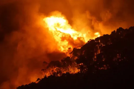 Les incendies ont touché deux villes situées au sud-ouest de Melbourne, Wye River et Separation Creek.