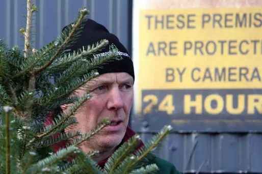 Irlande : la chasse aux voleurs de sapins de Noël bat son plein