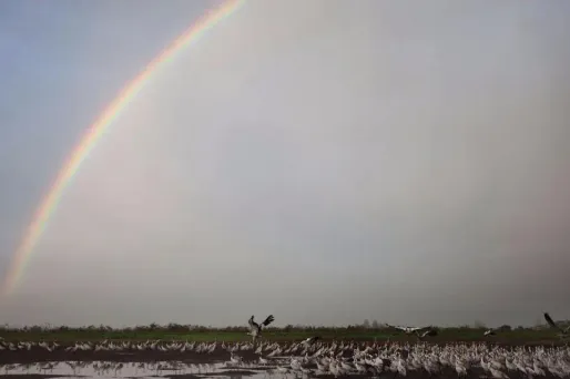 Au sud, le ciel sera clair et dégagé hormis sur l'Aquitaine.