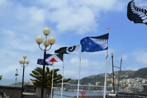 Les cinq drapeaux pré-finalistes.