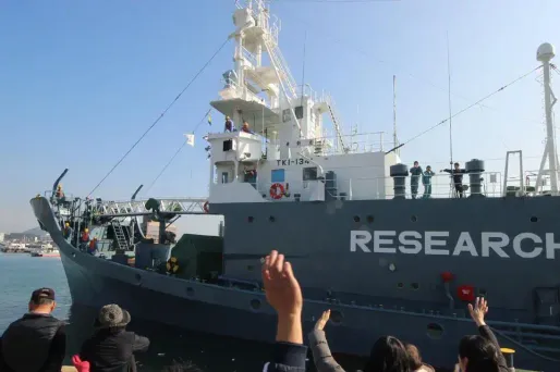 japon chasse baleines 1280