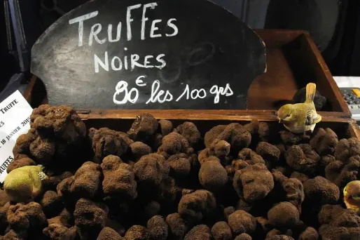 Le président a reçu par colis express une truffe noire.