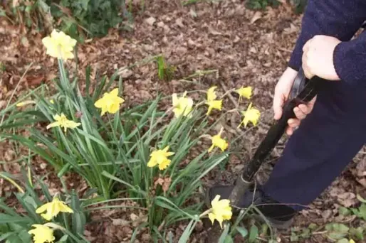 13°C en janvier, tout fout le camp !