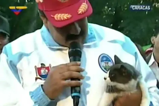 Maduro adopte un chat révolutionnaire