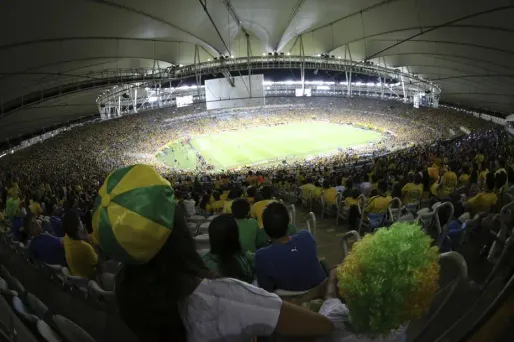 2014, une année tout sport