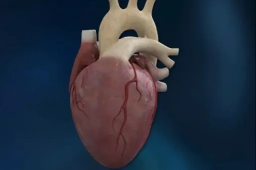 Le premier porteur d'un coeur artificiel se porte bien