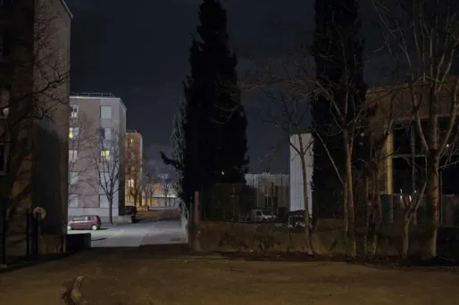 Lyon : le présumé "violeur du 8e" arrêté