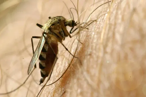 Photo d'illustration.