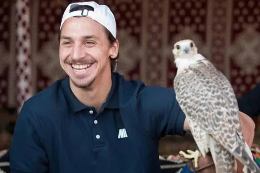 PHOTO - Zlatan Ibrahimovic et le faucon