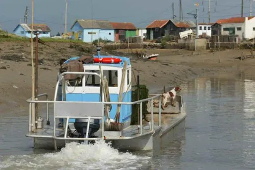 Charente-Maritime : un ostréiculteur disparaît en mer