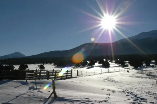 La victime effectuait une randonnée en raquettes avec un ami et évoluait à 1.300 d'altitude au moment de l'accident.