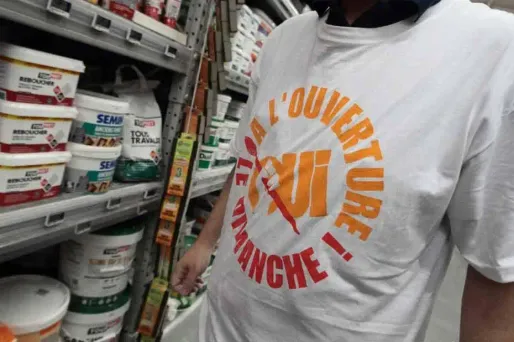 Les magasins de bricolage, dont l'autorisation temporaire d'ouvrir le dimanche a été retoquée mercredi par le Conseil d'Etat, ouvriront malgré tout leurs portes ce dimanche, ont annoncé vendredi plusieurs des enseignes concernées.