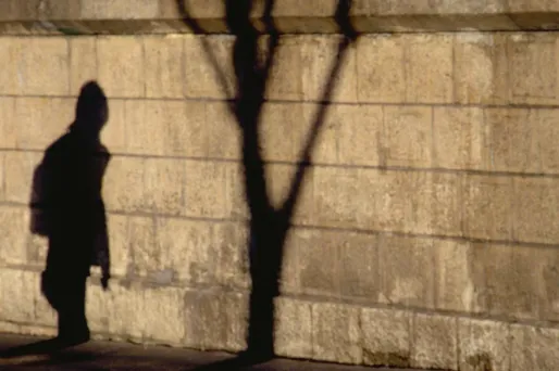 À l'origine du phénomène "SafeDansLaRue" : un tweet de la bloggeuse féministe CrêpeGeorgette, lancé mardi après-midi.