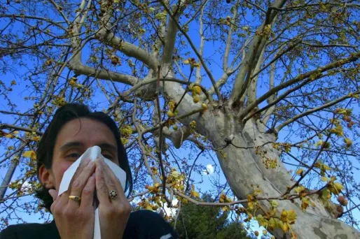 Allergies : comment affronter le printemps précoce
