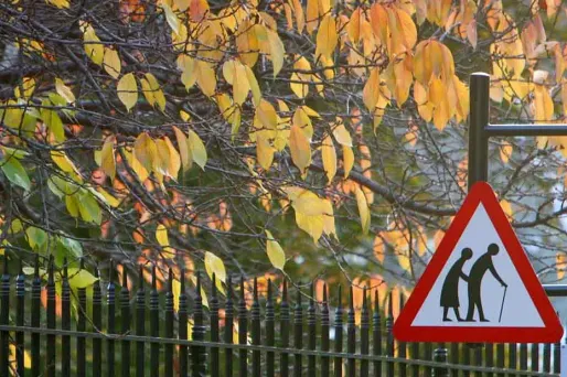 Bientôt la fin des arnaques à l’héritage ?