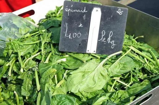 L'épinard, un bon remède contre la faim