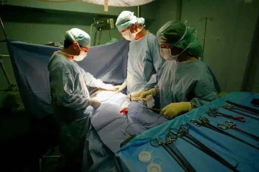 "L'activité de greffe d'organes à partir de donneurs vivants connaît une forte augmentation en 2013 avec 414 greffes contre 366 en 2012", ce qui représente une hausse de 13,1%".