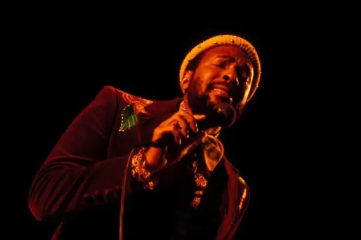 Un fan retrouve le passeport de Marvin Gaye dans une brocante