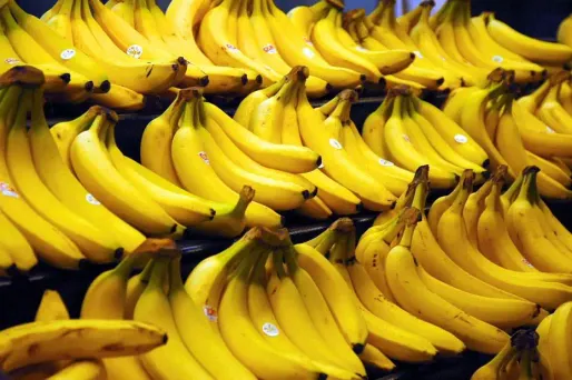 64 kg de cocaïne dans des cartons de bananes
