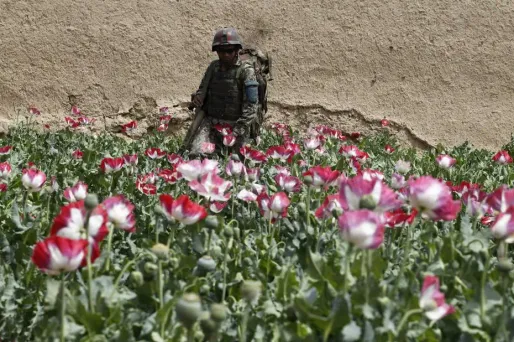 Afghanistan : diplomatie, opium et talibans