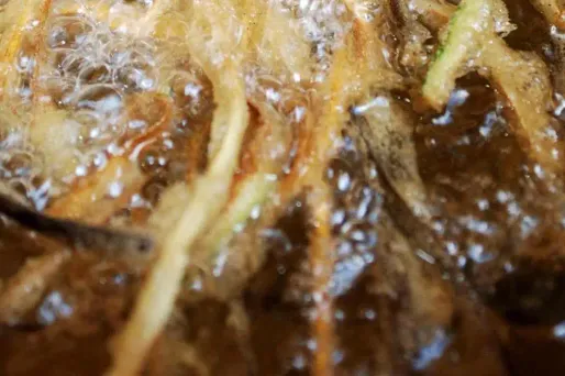 Elle jette de l'huile bouillante au visage d'un braqueur