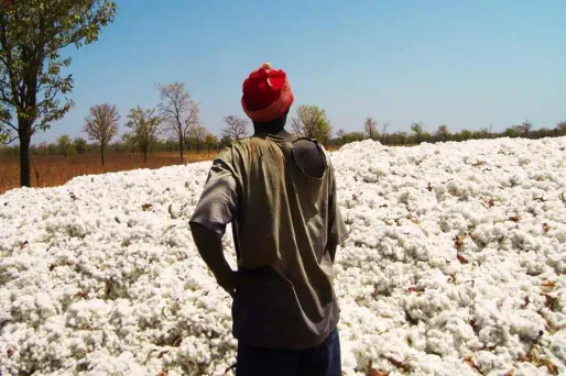 Le paludisme migre à de plus hautes altitudes