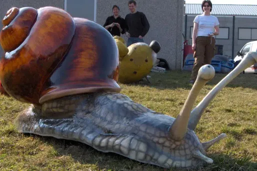 Les escargots comptent parmi les premières victimes du ver plat. (Photo d'illustration)