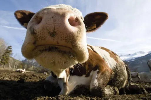 Photo d'illustration.