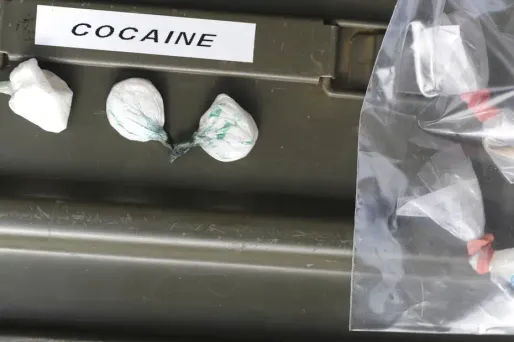 Marseille : 40 kg de cocaïne dans une cargaison de bananes