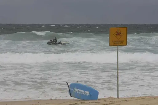 La victime appartenait à un groupe de nageurs qui avait l'habitude de pratiquer la natation tous les jours près de la plage de Tathra, à quelque 450 km au sud de Sydney. (photo d'illustration)
