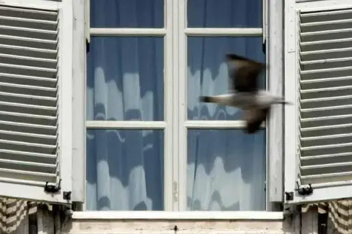 Avec les fenêtres ouvertes, attention aux enfants