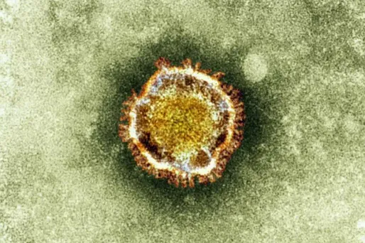 L'Organisation mondiale de la Santé (OMS) a convoqué une réunion d'urgence mardi après la hausse des cas de coronavirus.