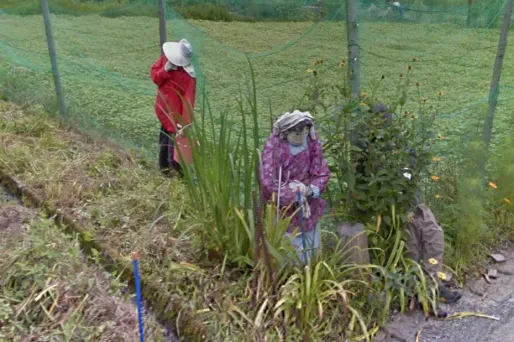 Japon : elle repeuple avec des poupées son village déserté