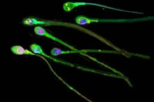 Photo d'illustration.