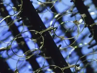 Le gouvernement prévoit de limiter le remboursement maximum des lunettes par les mutuelles selon Les Echos.