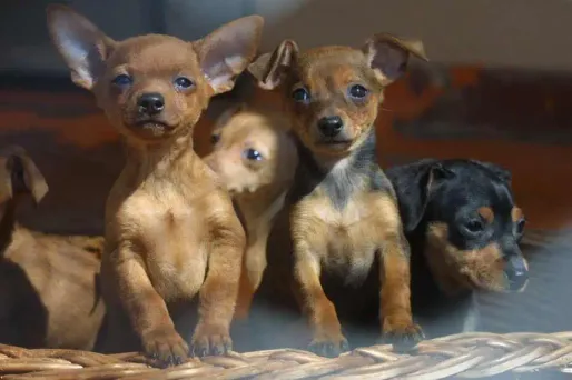 photo d'illustration