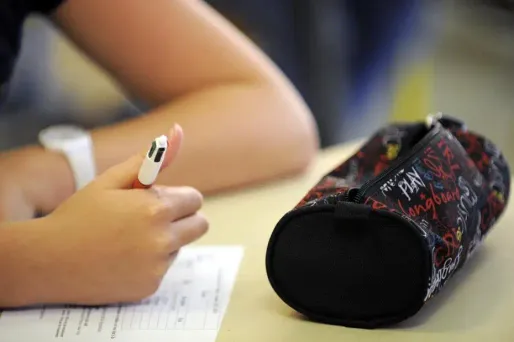 La directrice d'une école et une institutrice ont été légèrement blessées après avoir été frappées par une mère d'élève à Sorbey, en Moselle. (photo d'illustration)
