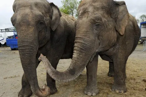 Image d'illustration.