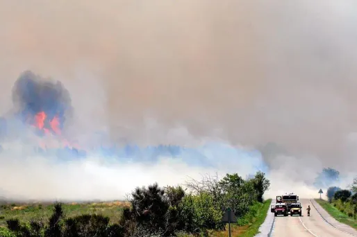 Un incendie ravage la garrigue près de Narbonne (illustration)