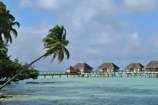 Vacances d’été : dix conseils pour éviter les arnaques