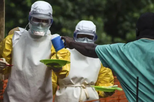 Des épidémiologistes ont retrouvé le premier malade de l'épidémie d'Ebola qui sévit actuellement en Afrique de l'Ouest.