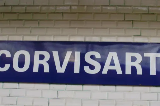 Il tente de tuer sa mère puis se jette sous le métro