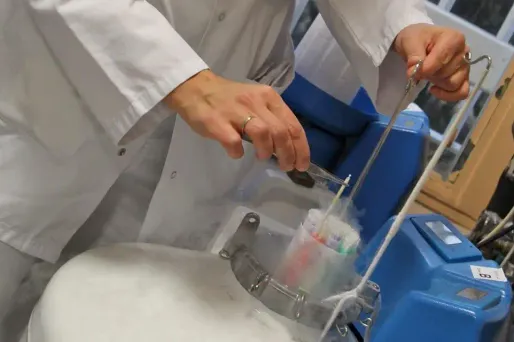 Quand Facebook et Apple veulent aider la maternité de leurs salariées