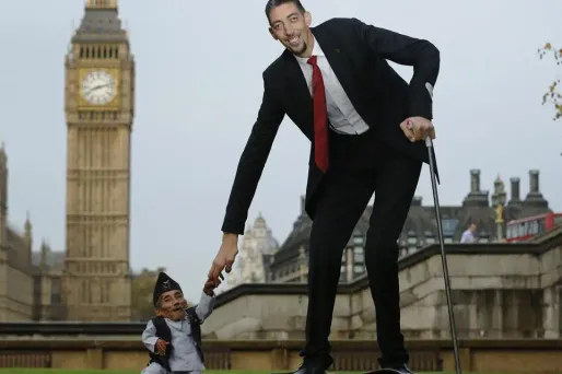 David, Goliath et une botte de foin