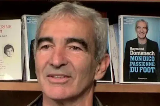Zidane, Ribéry, Anelka... : les explications de texte de Domenech
