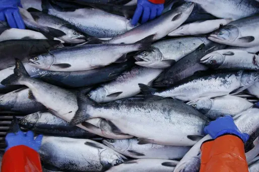 La CLCV s'est penché sur les poissons au travers d'une enquête menée dans 21 départements sur 111 points de vente (grandes surfaces, poissonnerie, marchés...).