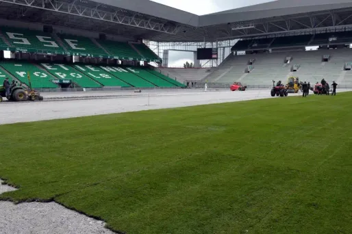 Foot : et si l'avenir était aux pelouses hybrides ?