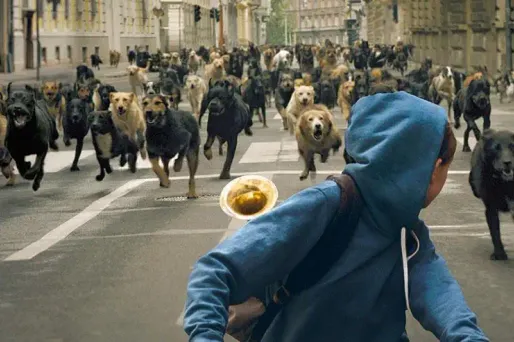 L'ovni White God va plus loin que la fable canine