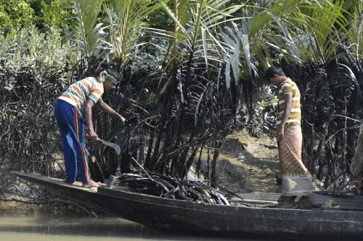 Une marée noire géante menace l’écosystème du Bangladesh